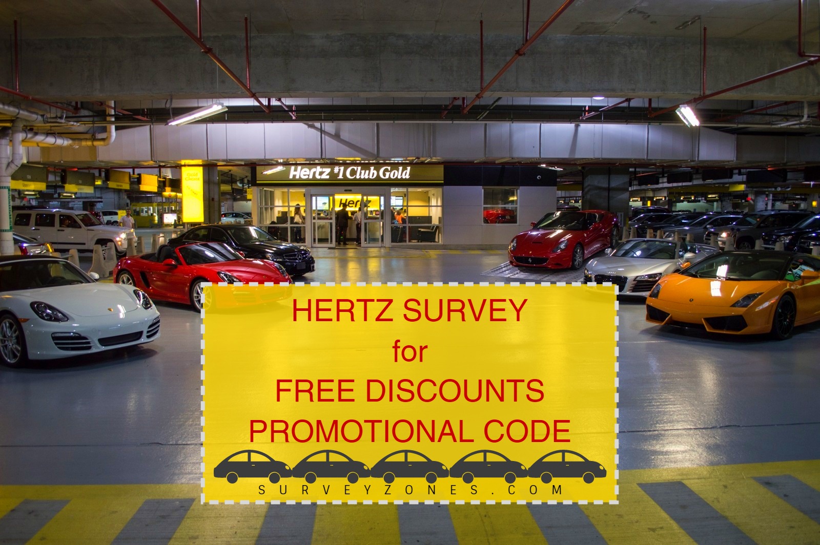 Hertz Survey code